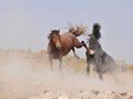 _DSC0910