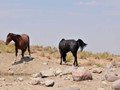 _DSC0921